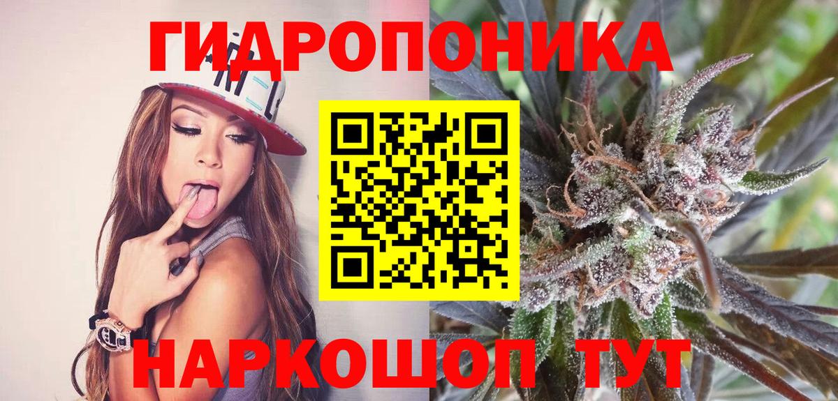 Бошки Шишки марихуана  Вход с VPN  Долгопрудный  Бошки Шишки Amnesia  МАРИХУАНА конопля 